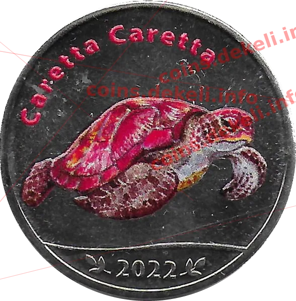 Caretta Caretta