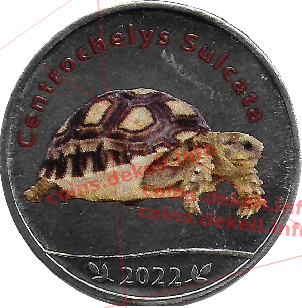 Centrochelys Sulcata