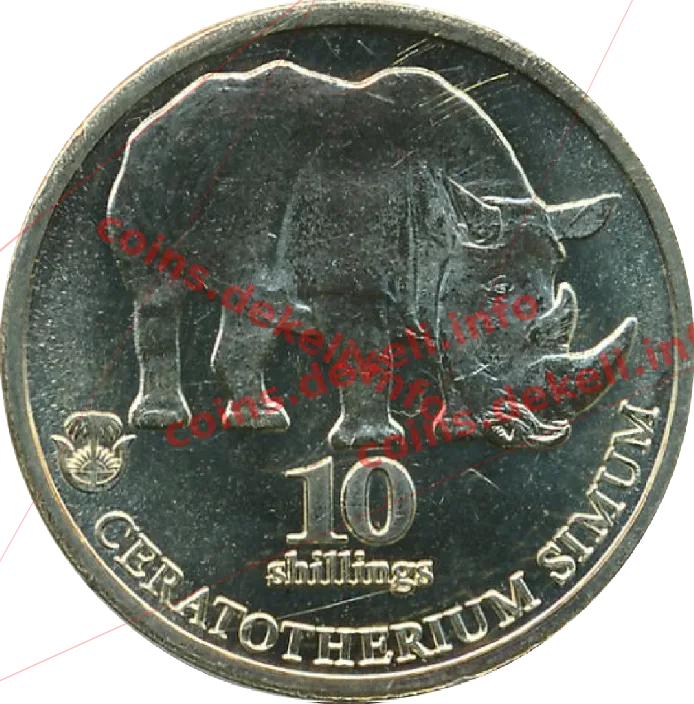 Ceratotherium simum — реверс