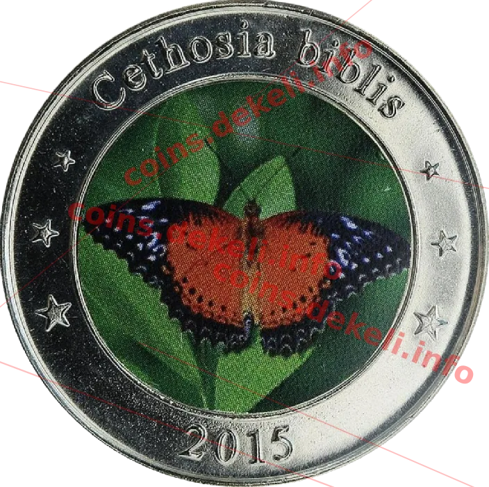 Cethosia biblis — аверс