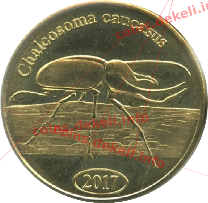 Chalcosoma caucasus — реверс