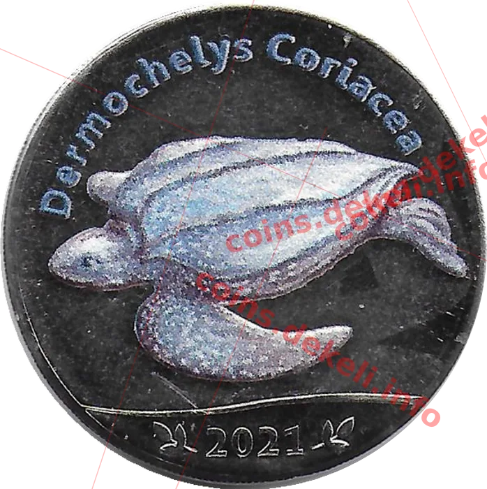 Dermochelys Coriacea