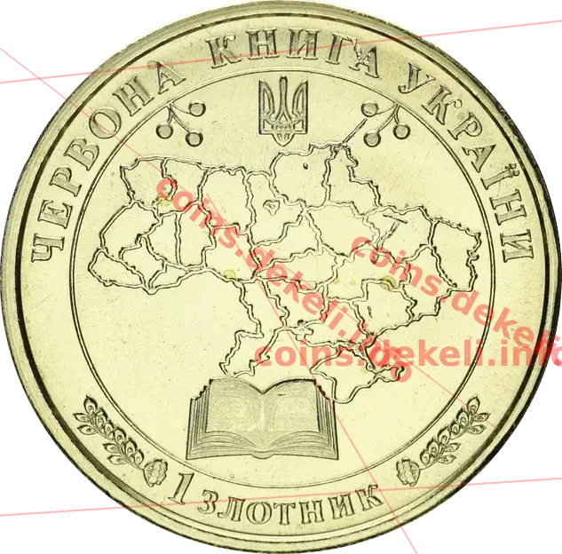 Дятел трипалий — реверс