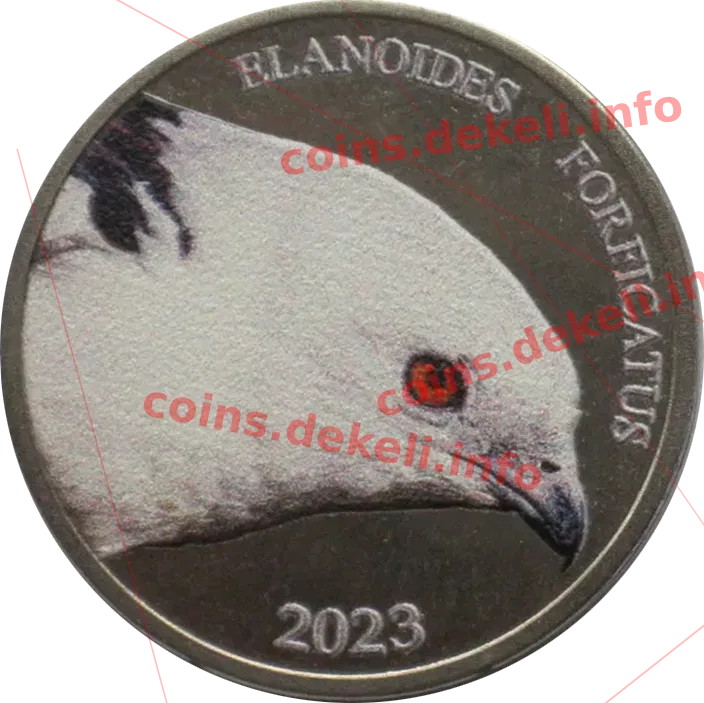 Elandoides forficatus
