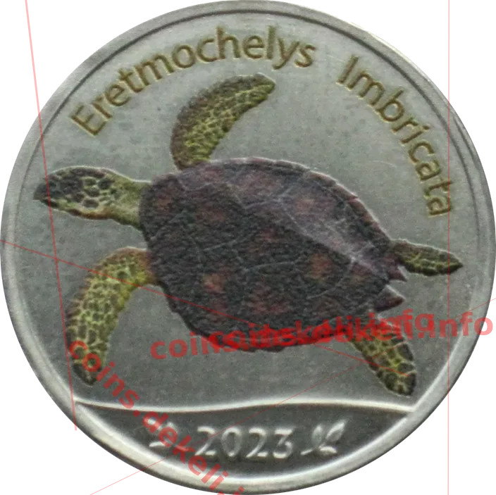 Eretmochelys Imbricata