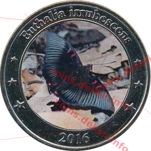 Euthalia irrubescens — аверс