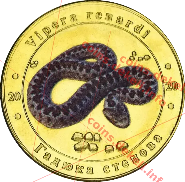 Гадюка степова — аверс