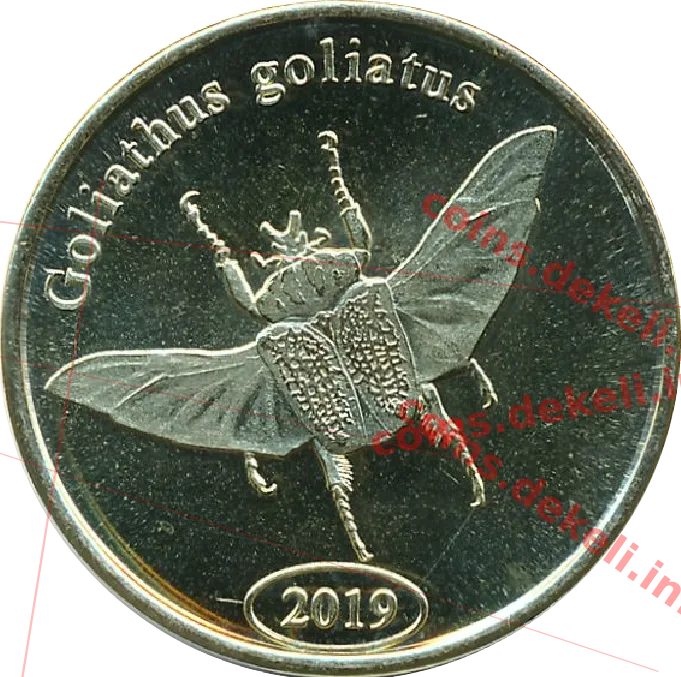 Goliathus goliatus