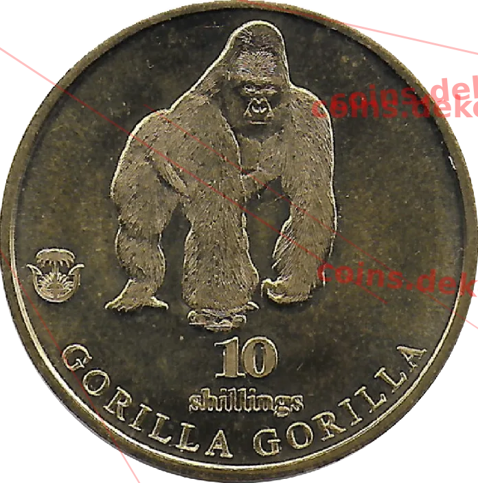 Gorilla gorilla
