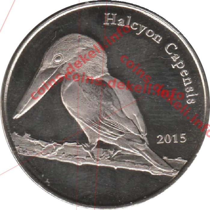 Halcyon Capensis — реверс