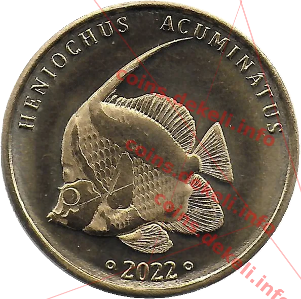Heniochus acuminatus