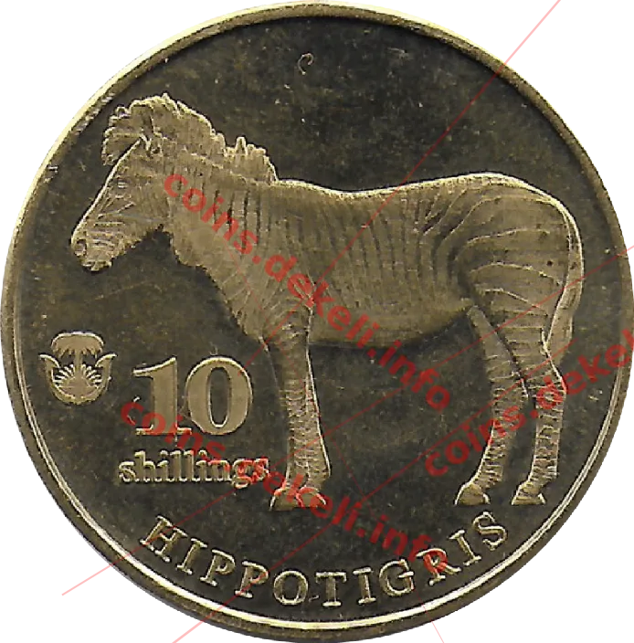 Hippotigris — реверс