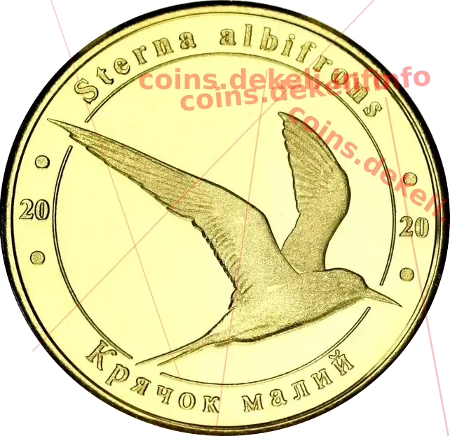 Крячок малий — аверс