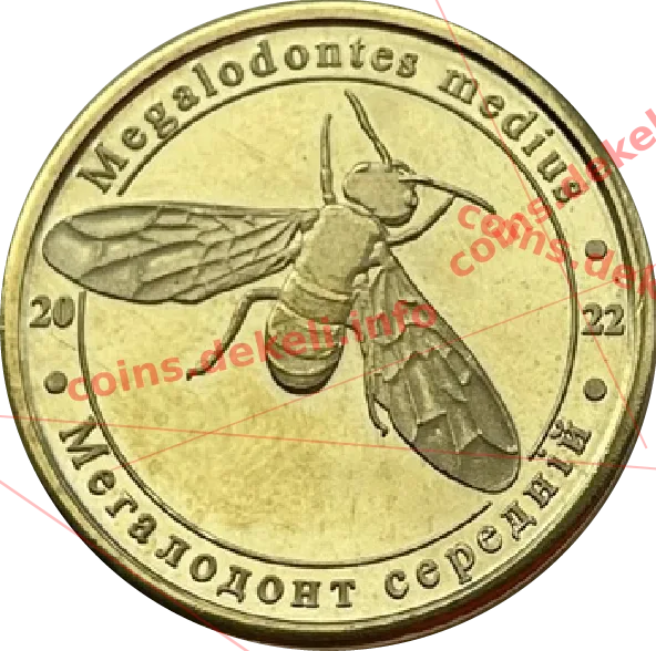 Мегалодонт середній