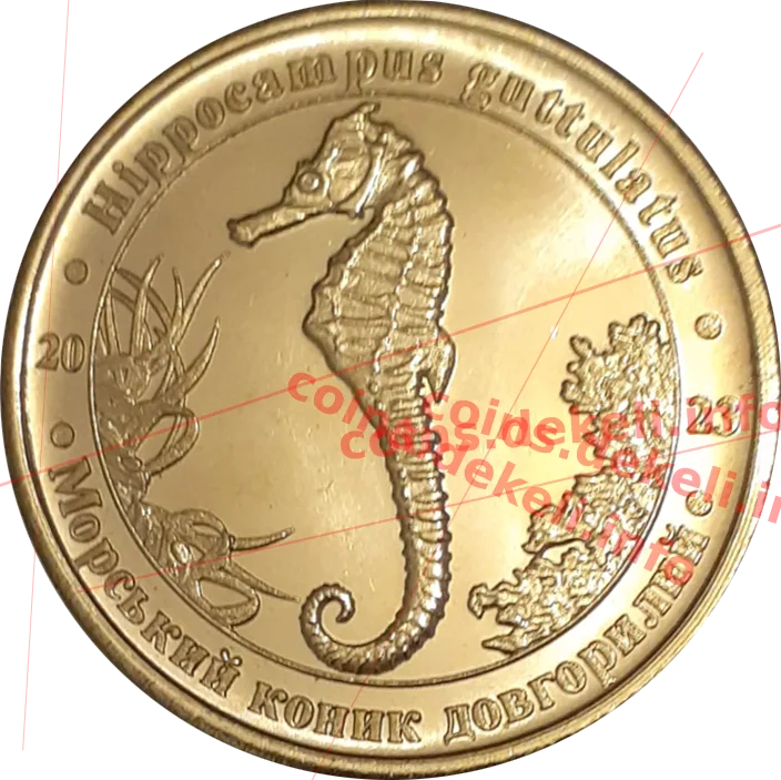 Морський коник довгорилий — аверс