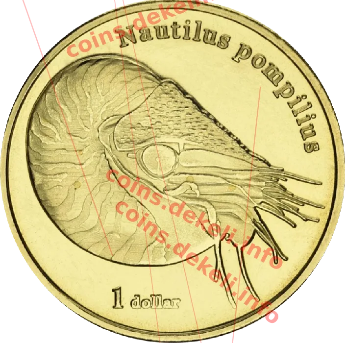Nautilus pompilius — реверс