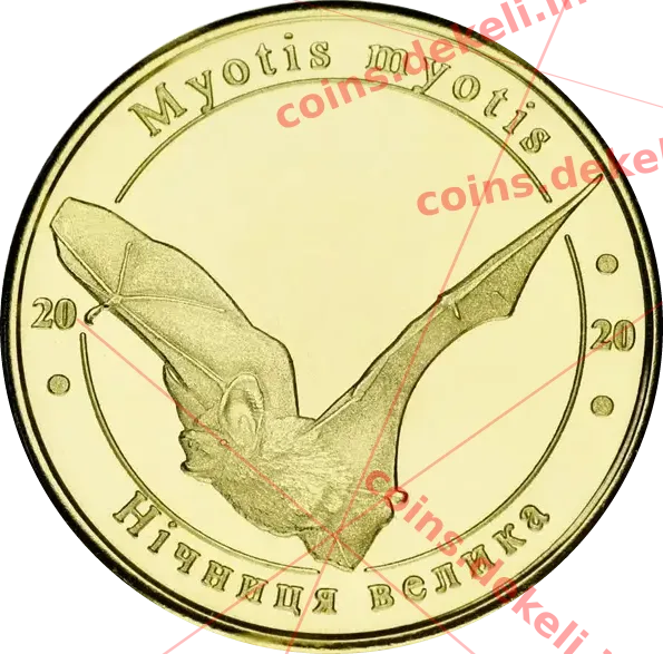 Нічниця велика