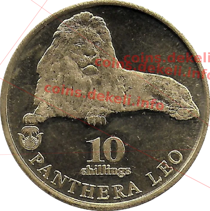 Panthera leo — реверс