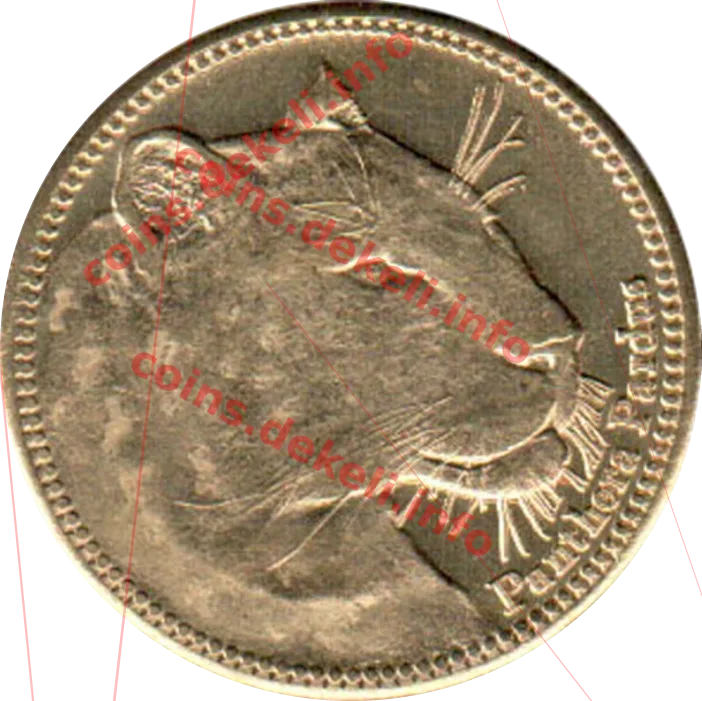 Panthera pardus — аверс