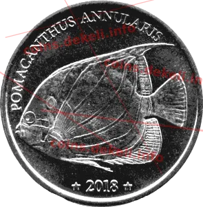 Pomacanthus Annularis