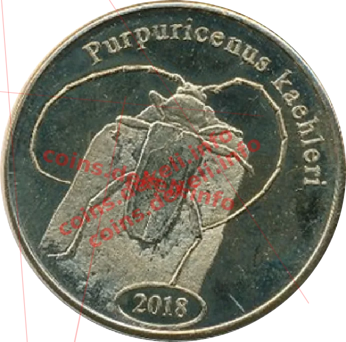 Purpuricenus kaehleri — реверс
