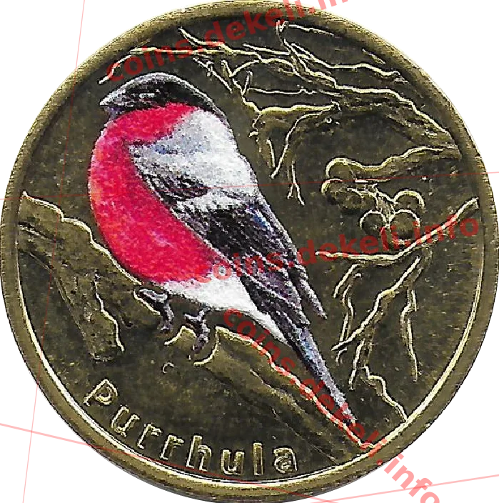 Purrhula