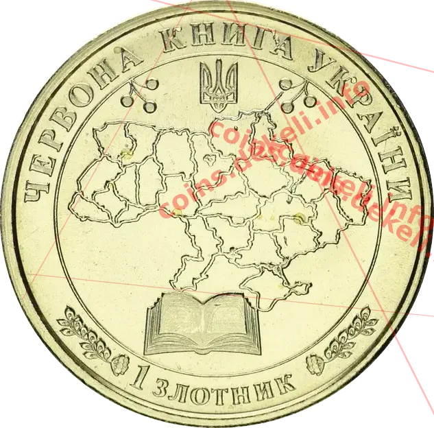 Ропуха очеретяна — реверс