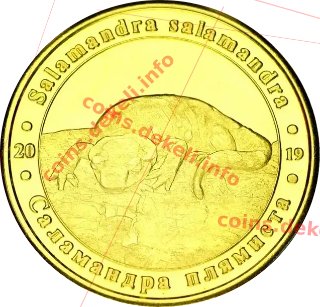 Саламандра плямиста — аверс