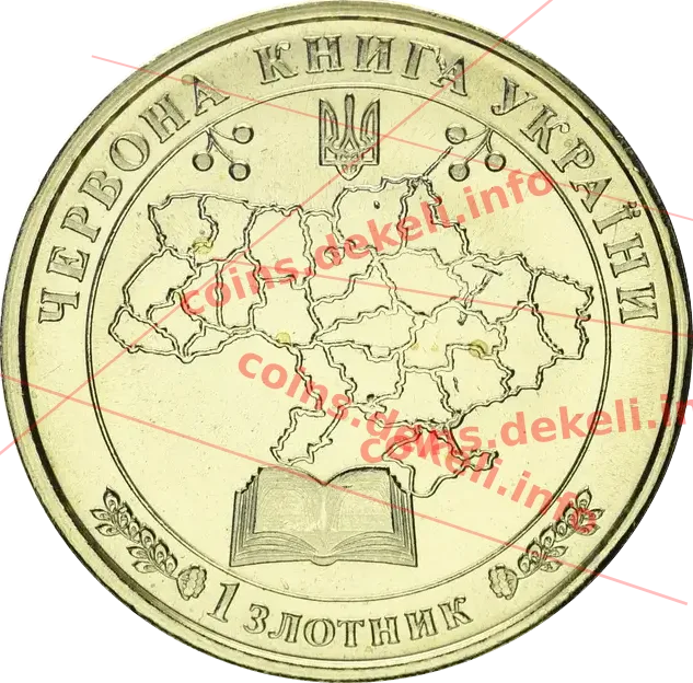 Саламандра плямиста — реверс