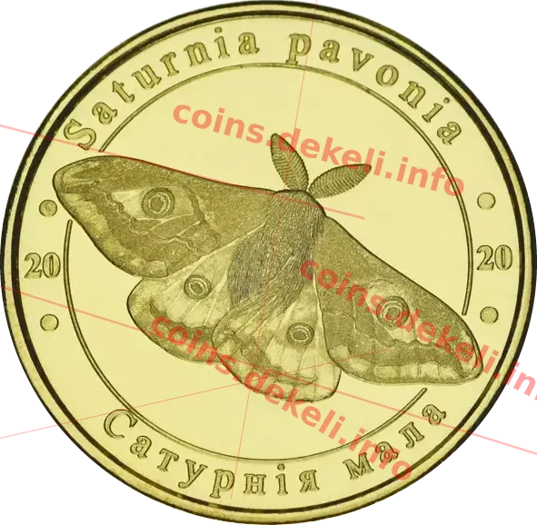 Сатурнія мала — аверс