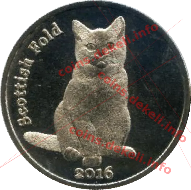 Scottish Fold — реверс