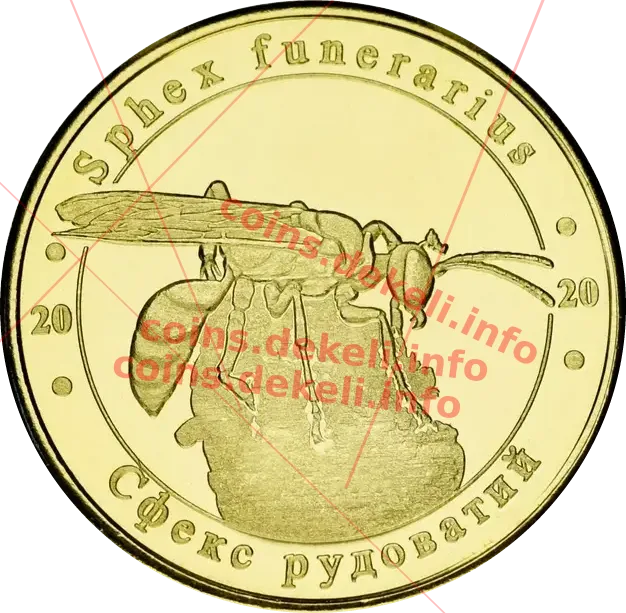 Сфекс рудоватий — аверс