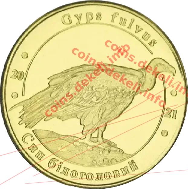 Сип білоголовий — аверс