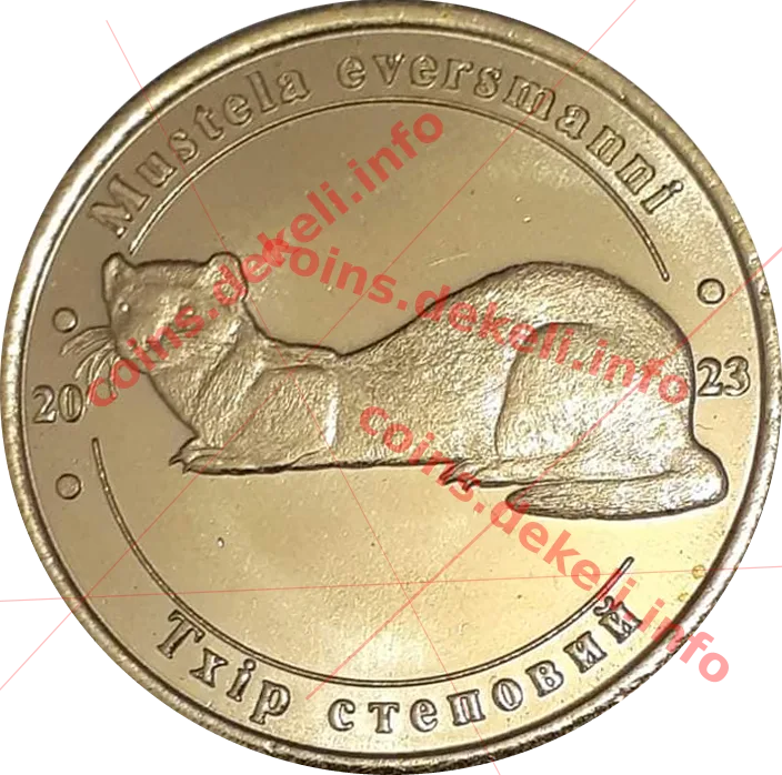 Тхір степовий — аверс