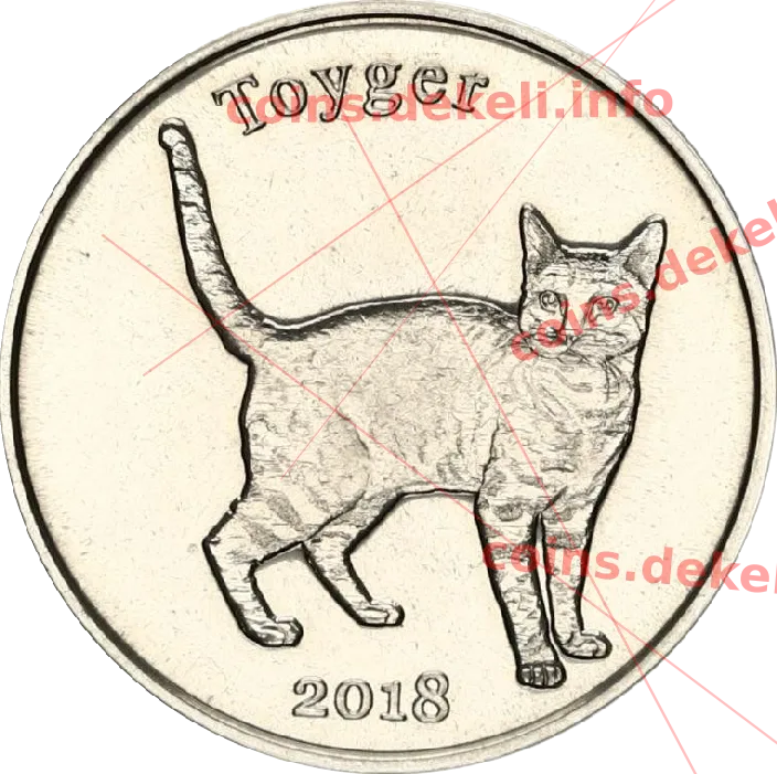 Toyger — реверс