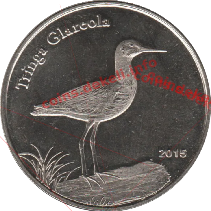 Tringa Glareola — реверс
