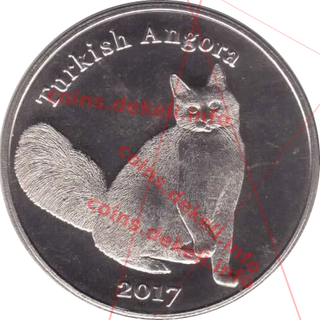 Turkish Angora — реверс