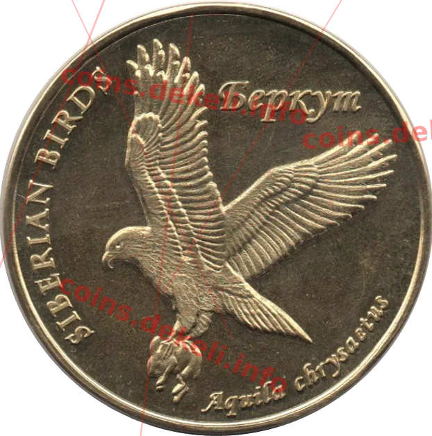 Беркут