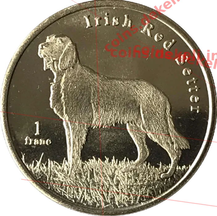 Irish Red Setter