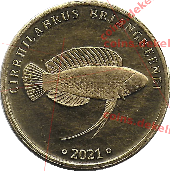 Cirrhilabrus briangrenei